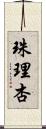 珠理杏 Scroll