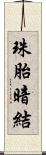 珠胎暗結 Scroll