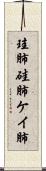 珪肺 Scroll