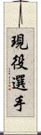 現役選手 Scroll