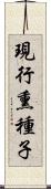 現行熏種子 Scroll