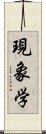 現象学 Scroll