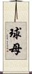 球母 Scroll