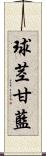 球茎甘藍 Scroll