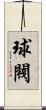 球閥 Scroll