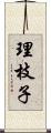 理枝子 Scroll