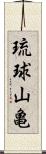 琉球山亀 Scroll