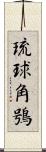 琉球角鴞 Scroll