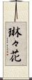 琳々花 Scroll