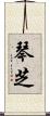 琴芝 Scroll