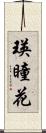 瑛瞳花 Scroll