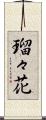 瑠々花 Scroll