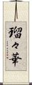 瑠々華 Scroll
