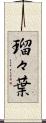 瑠々葉 Scroll
