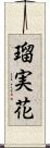瑠実花 Scroll