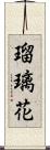 瑠璃花 Scroll