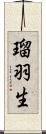 瑠羽生 Scroll