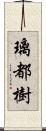 璃都樹 Scroll