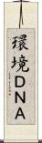 環境ＤＮＡ Scroll