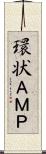 環状ＡＭＰ Scroll