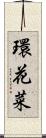 環花菜 Scroll