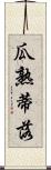 瓜熟蒂落 Scroll