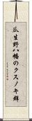 瓜生野八幡のクスノキ群 Scroll