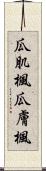 瓜肌楓 Scroll