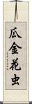 瓜金花虫 Scroll