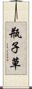 瓶子草 Scroll