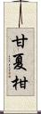 甘夏柑 Scroll