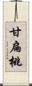 甘扁桃 Scroll
