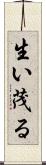生い茂る Scroll