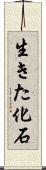 生きた化石 Scroll