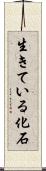 生きている化石 Scroll