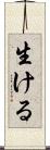 生ける Scroll