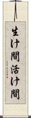 生け間 Scroll