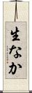 生なか Scroll