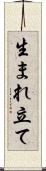生まれ立て Scroll