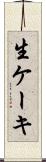 生ケーキ Scroll