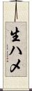生ハメ Scroll