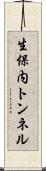 生保内トンネル Scroll