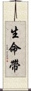 生命帶 Scroll