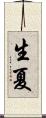 生夏 Scroll