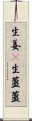 生姜(P);生薑;薑 Scroll