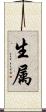 生属 Scroll