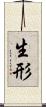 生形 Scroll