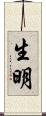 生明 Scroll