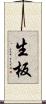 生板 Scroll