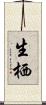 生栖 Scroll